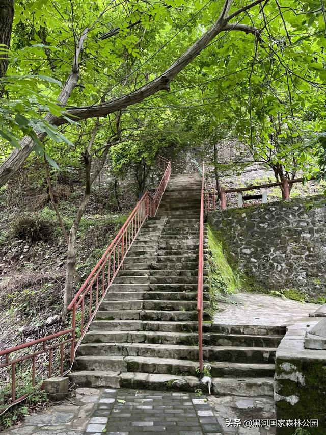 西安山美水美的清凉秘境！夏天来黑河避暑旅游太爽了！
