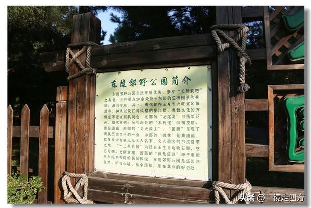 沈阳东陵郊野公园“精灵”出没