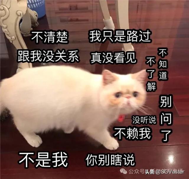 新加坡成“走私”大型中转站？2中国公民倒卖英伟达芯片美国被捕