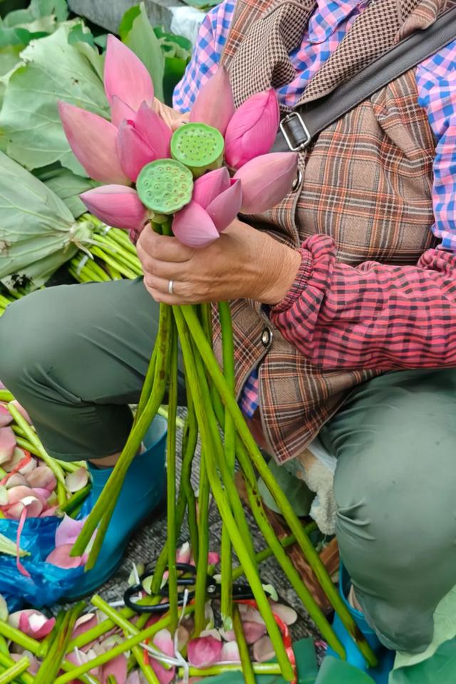 苏州这个市集，火上了央视！