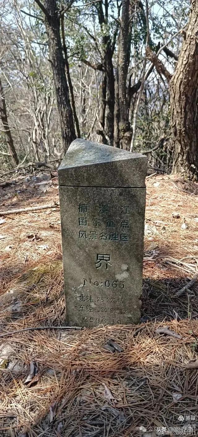 探秘楠溪江源头之三——初探这片鲜为人知的原始森林