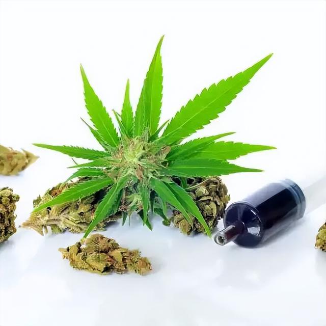 突传消息！中国籍男歌手涉毒被捕！