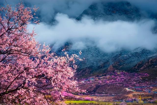 "数九"时间表来了！2026年什么时候最冷？何时入九？何时出九？