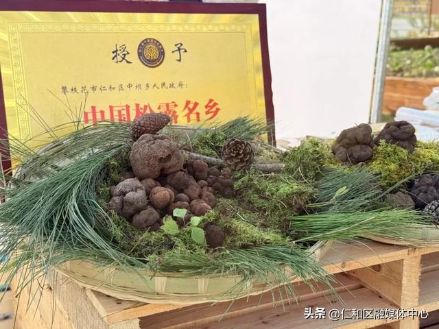 安逸四川·仁和之冬 | 暖冬集市来袭，没人能空着手出来！