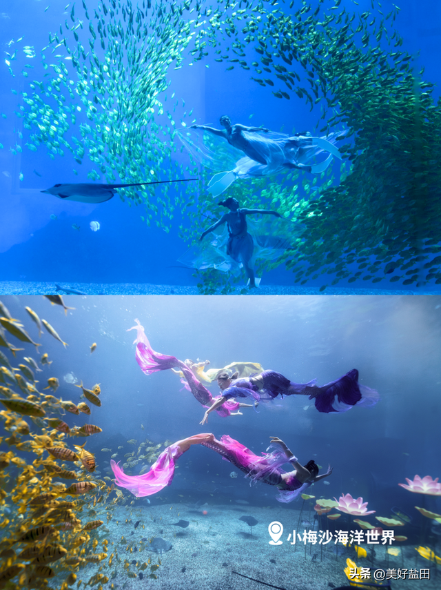 @永州朋友！小梅沙请你免费玩一整年！