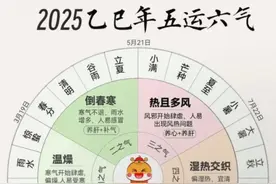 DeepSeek分析2025年乙巳年的五运六气图片