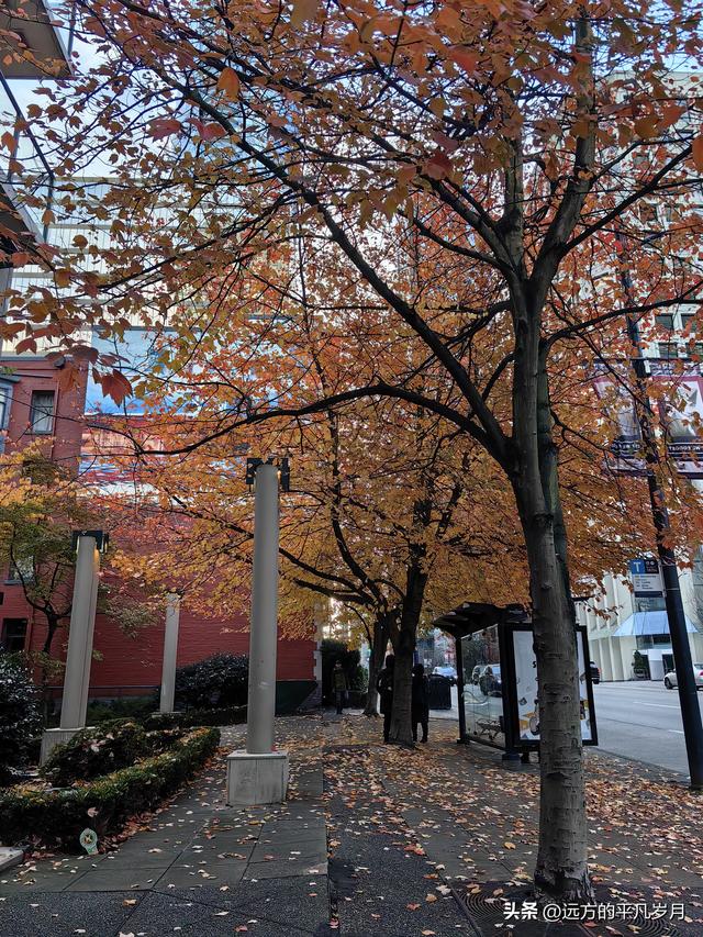 温哥华游记（一）