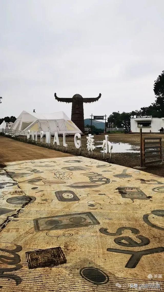 浙江这个山海古村，处在网红风景线上，丛林秘境中藏着一片花海