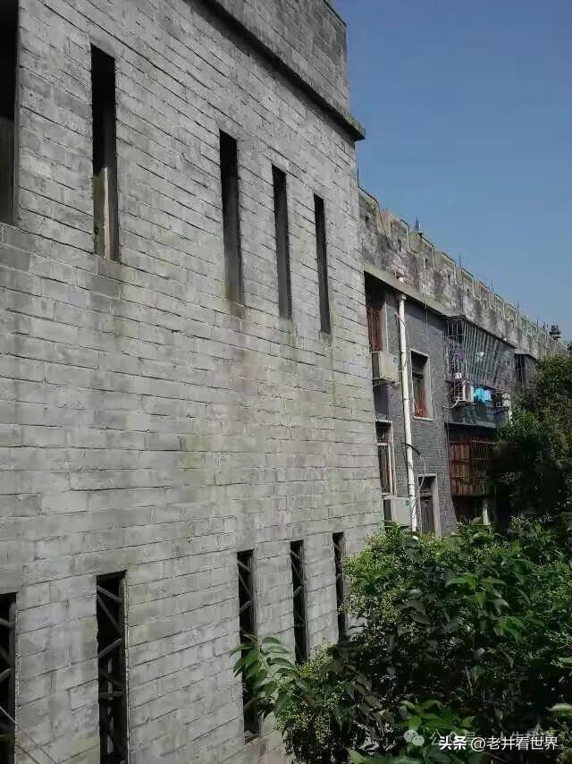洛阳寻古 || 胡成冮