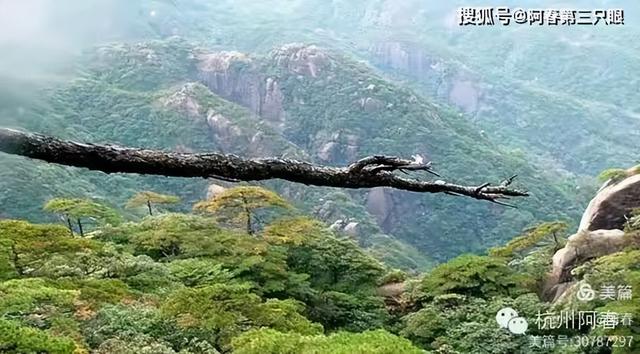 奇峻秀美 三清山