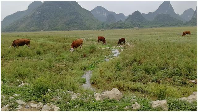 柳州市郊外几个小众景点（几个小草原，重点：拉建草原徒步环线）