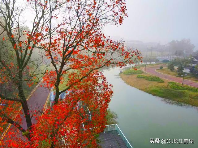 河南淮滨：初冬文化园更艳丽