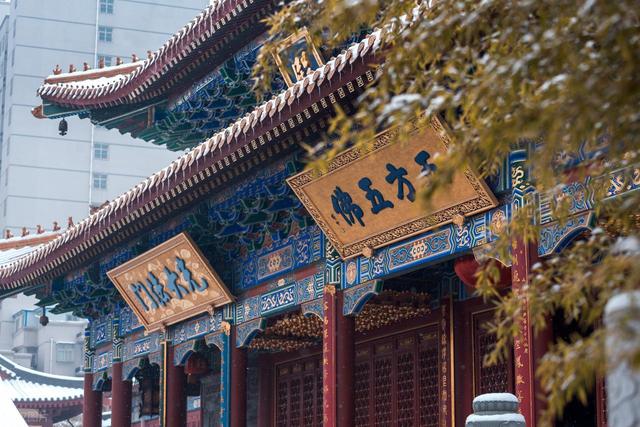 60 岁之后一定要去一次！西安对老人免票的 20 + 景点，不花钱还好玩