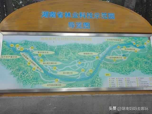 长沙南城遛娃，就爱这条免费清凉路线！