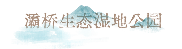 秋染灞桥 | 灞桥的“秋” 在唐诗中穿行……