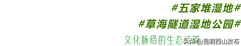 @外地人，不用找了！来昆明旅居锁死西山这三大片区