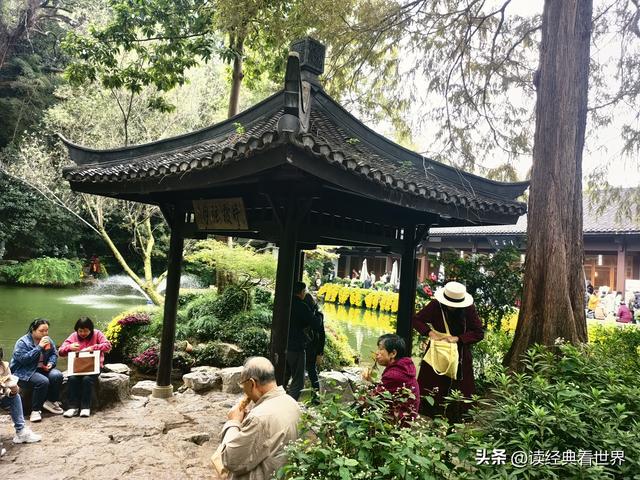 杭州植物园的菊花展——一场关于菊花的饕餮盛宴（二）