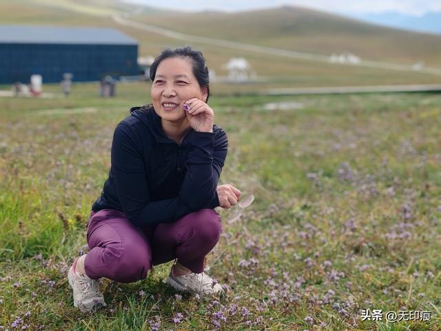 新疆之旅第六天：喀拉峻的草原诗篇