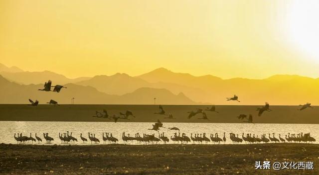 接下来，拉萨的冬天美哭你！