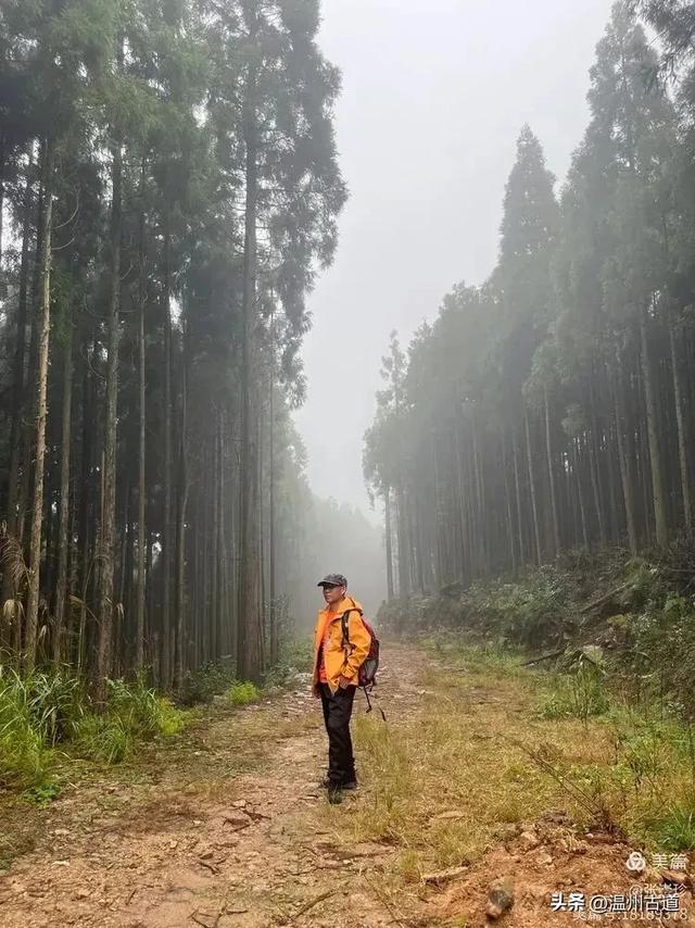 周末徒步去!这个有"温州版武功山"之称的名山,你可要去爬一次