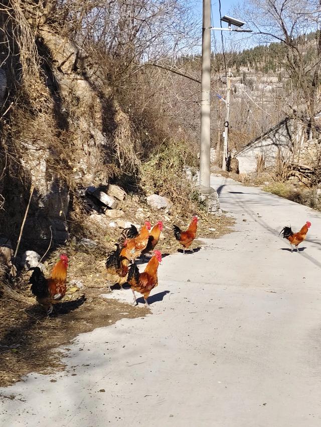 探访淄川滴水泉马棚黑峪村