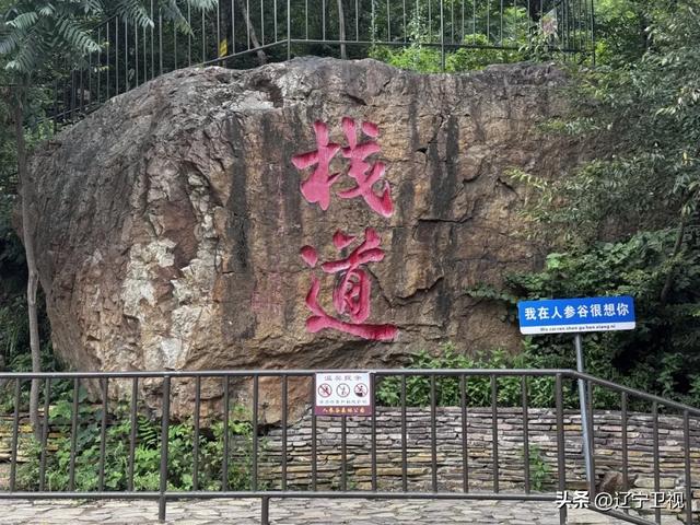 辽宁版"小川藏线"曝光!这条绝美自驾公路,藏着东北最野的风景!