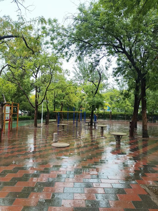 天津雨中的《红光公园》