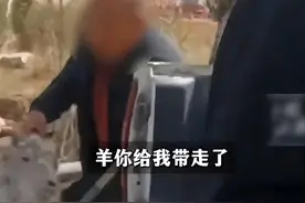 闹大了！老人放羊被罚3000，羊被综合执法带走，镇ZF回应引爆评论图片