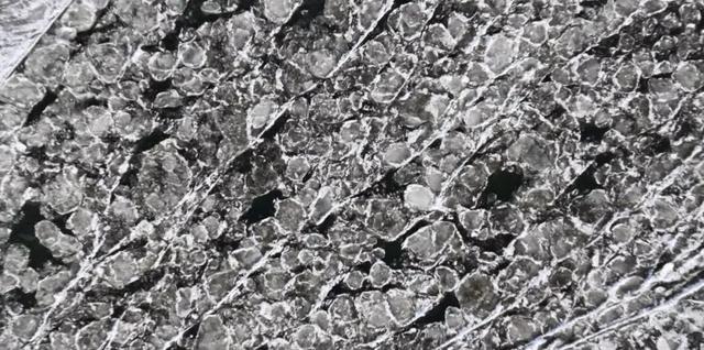 嫩江冬日图鉴▶跑冰排落幕，千里冰封上线