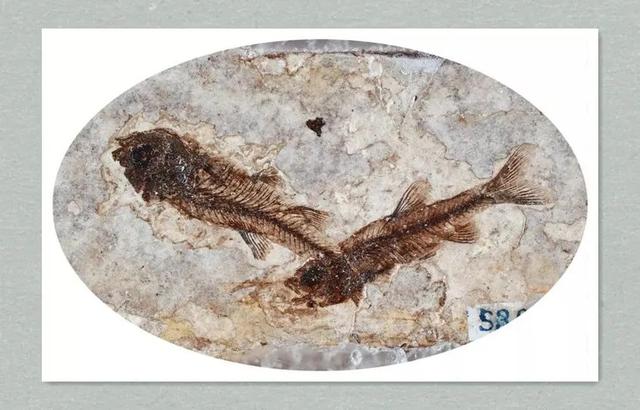 听我的！冬天来临朐，这篇攻略一定要提前存好