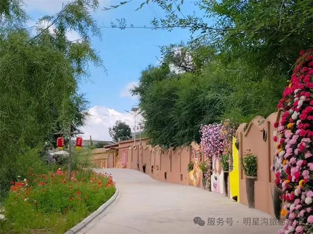 寻美卓资丨明星沟旅游景区花海惹人醉！