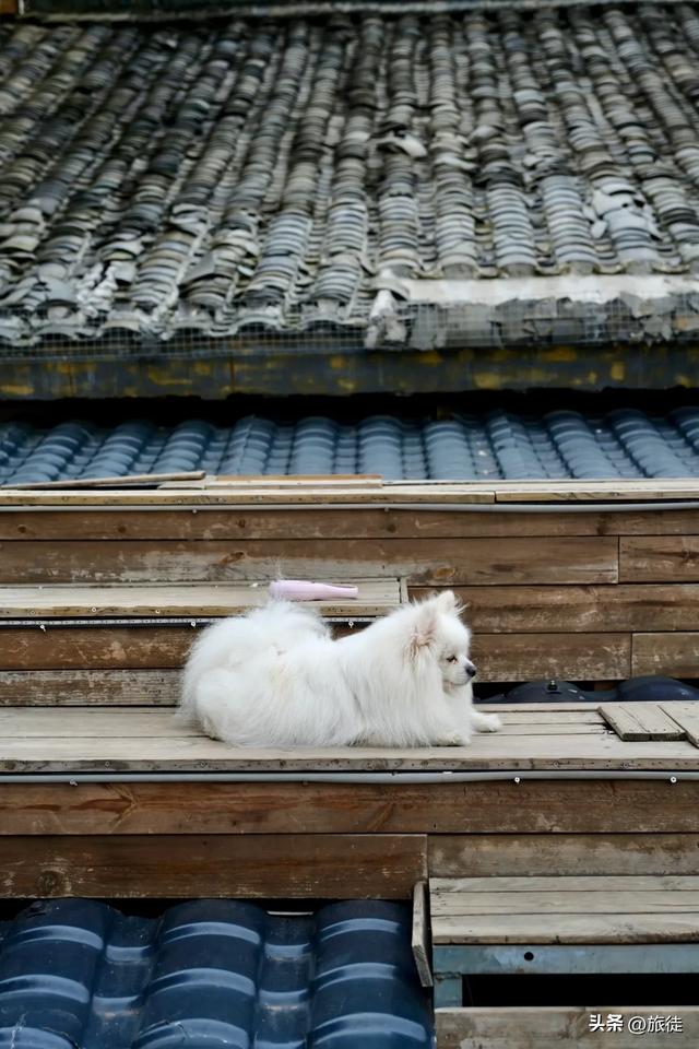 【跟着旅徒游广西】之四十一:南宁|相思小镇