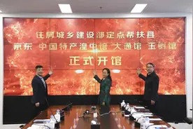 政企联动搭建消费帮扶新平台——青海湟中、大通、玉树在京东“开馆”图片