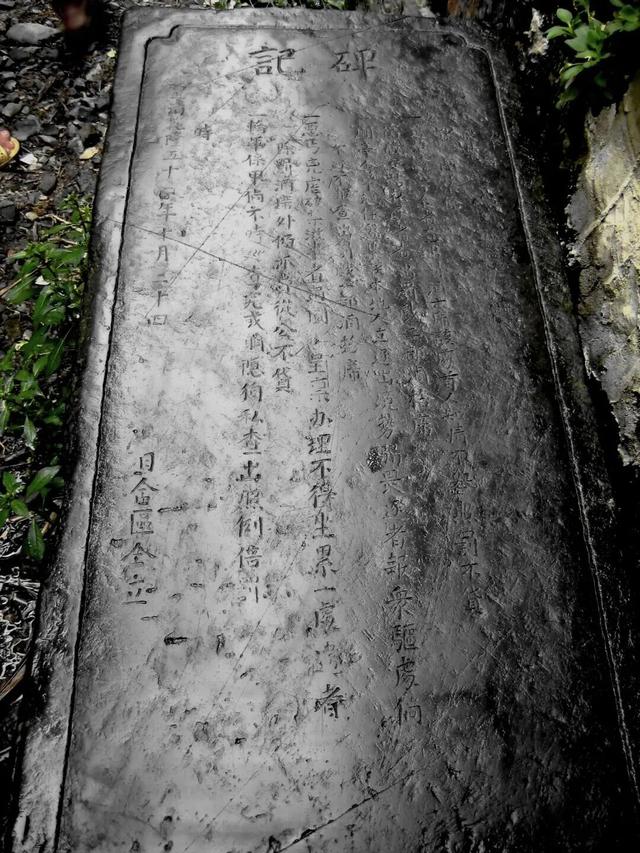 解锁牯牛降的文化密码 | 生态密码：绿色自然博物馆