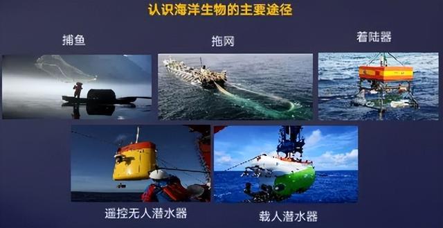 挤在直径1.8米的球舱中潜入万米深渊，眼前大量的古怪生物令我震