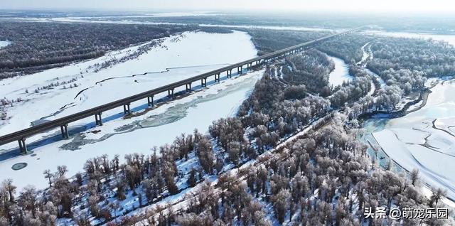 新疆寒冬变水晶王国，塔里木河畔冰霜奇景，游客直呼太震撼了