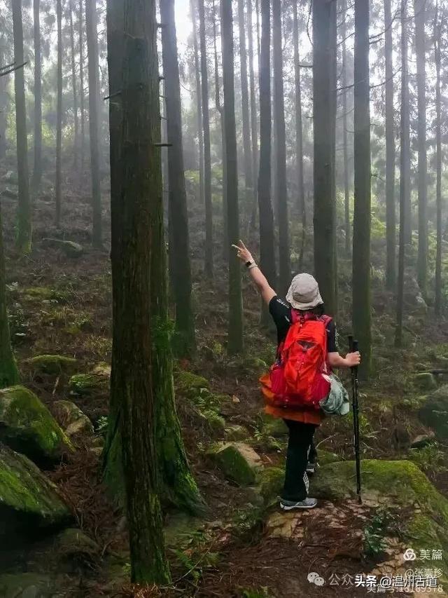 周末徒步去!这个有"温州版武功山"之称的名山,你可要去爬一次