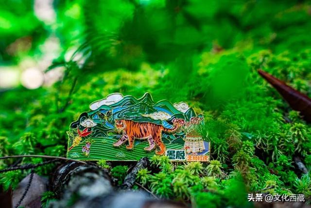 不允许还有人不知道！春天这样收藏微缩版西藏墨脱，太绝了！