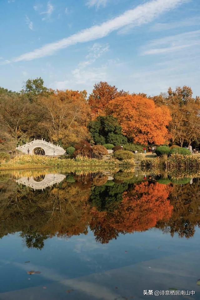 骑行听书：让快乐加倍，让风与墨香撞个满怀