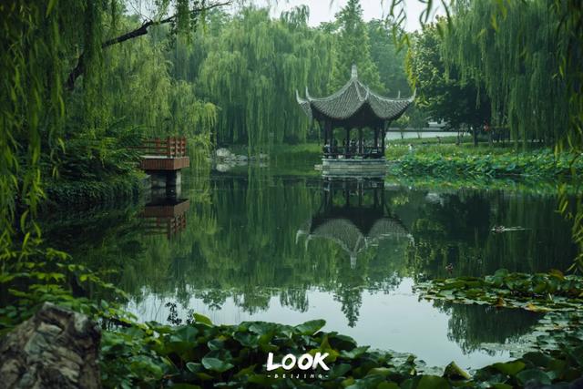 夏天来北京，就为了逛这座公园