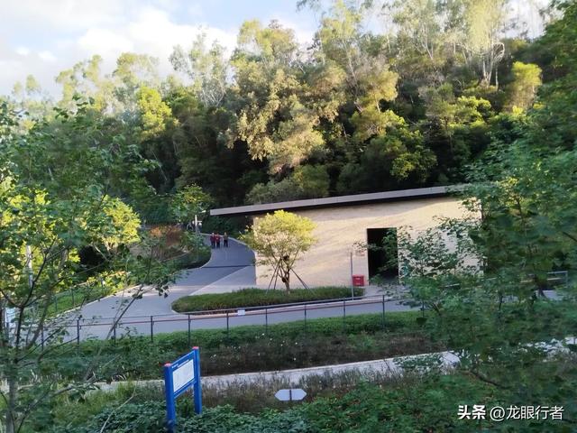 从地铁口出发，游逛刚刚开放的鲲鹏径二号及三号桥