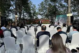 春游攻略上新！重庆200余项文旅活动来袭！图片