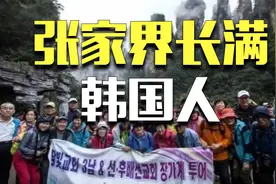 不孝有三，不游张家界最大，张家界怎么成为韩国人的尽孝圣地？图片