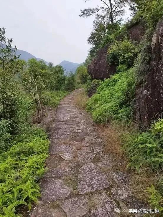 温州这条有着神奇传说、沉寂已久的千年古道，你可去过？