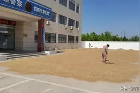 盐城公安局交警支队开大门让村民晒粮解决粮食晾晒难题图片