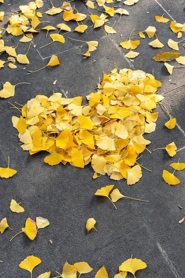 太原市迎泽区：府城漫步｜满城色彩绘就秋日画卷