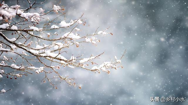 “上午小雪，冻死牛；下午小雪，暖烘烘”，今年小雪在几点？