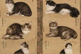 “乾隆”皇帝到底有多爱猫？养了“10只”猫，养的都还是王者猫图片