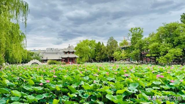 一个城市拥有100家博物馆是什么体验？快来一场酣畅淋漓的博物馆漫游
