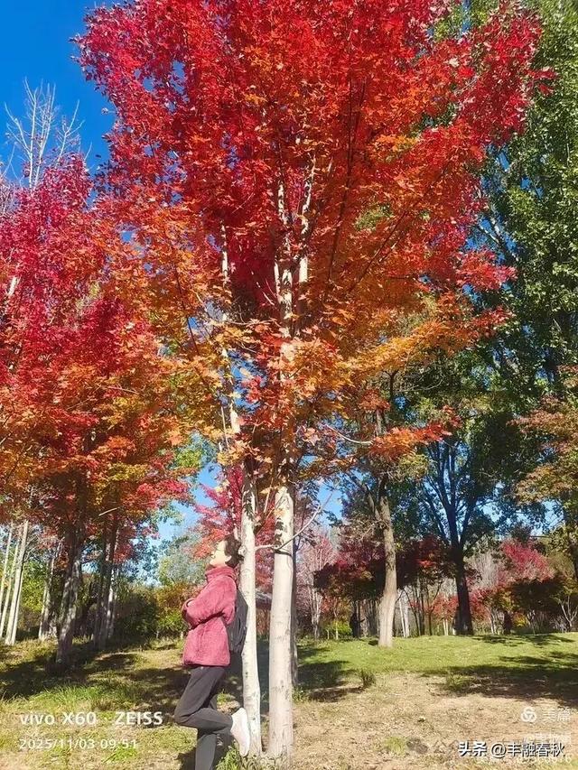 青岛即墨马山寻趣：一座地质公园的秋日私语｜申艳娟